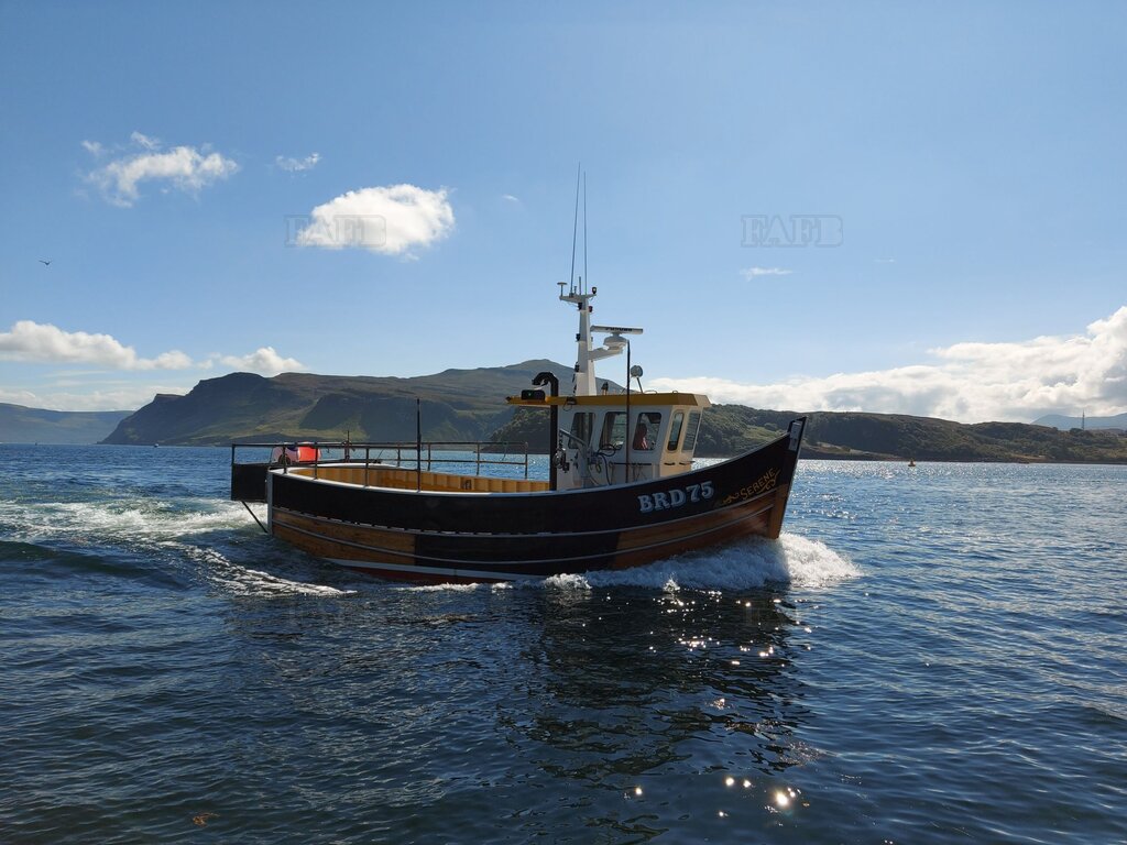 Wood/ carvel/ Displacement