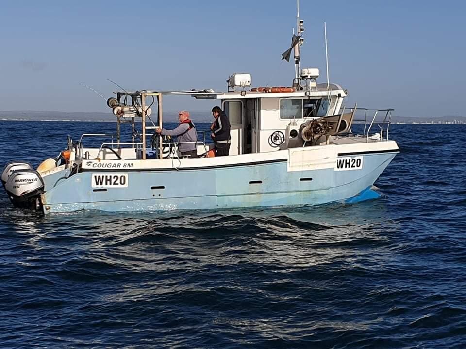 8 meter Cougar Cat built by DB marine