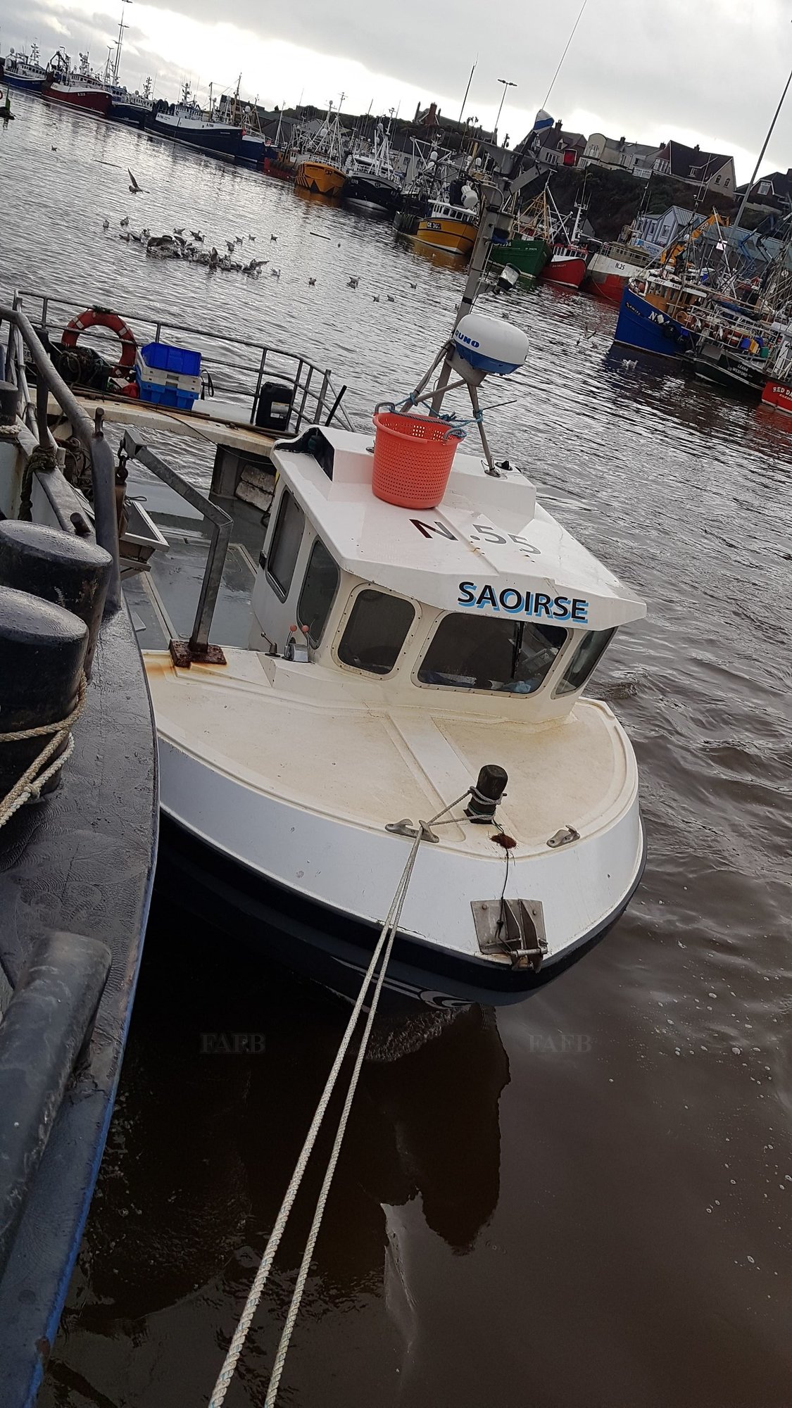 Large picture for advert 109314