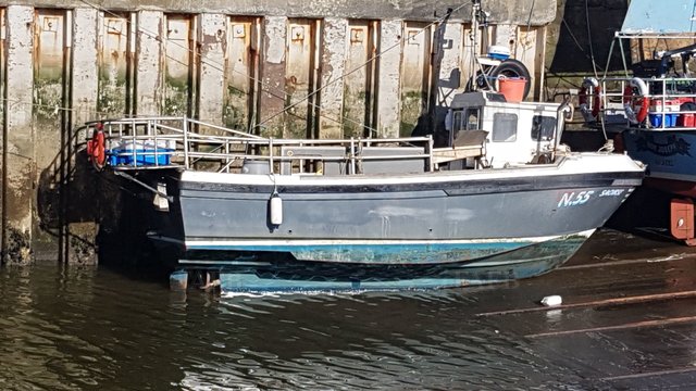 Large picture for advert 109314