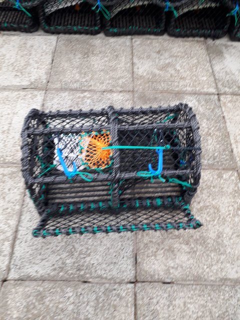 Large picture for advert 108964