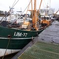 Extra picture for advert 114864